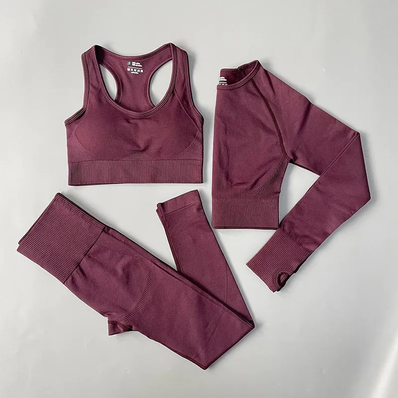 Seamless High Waist Fitness Sportswear Set