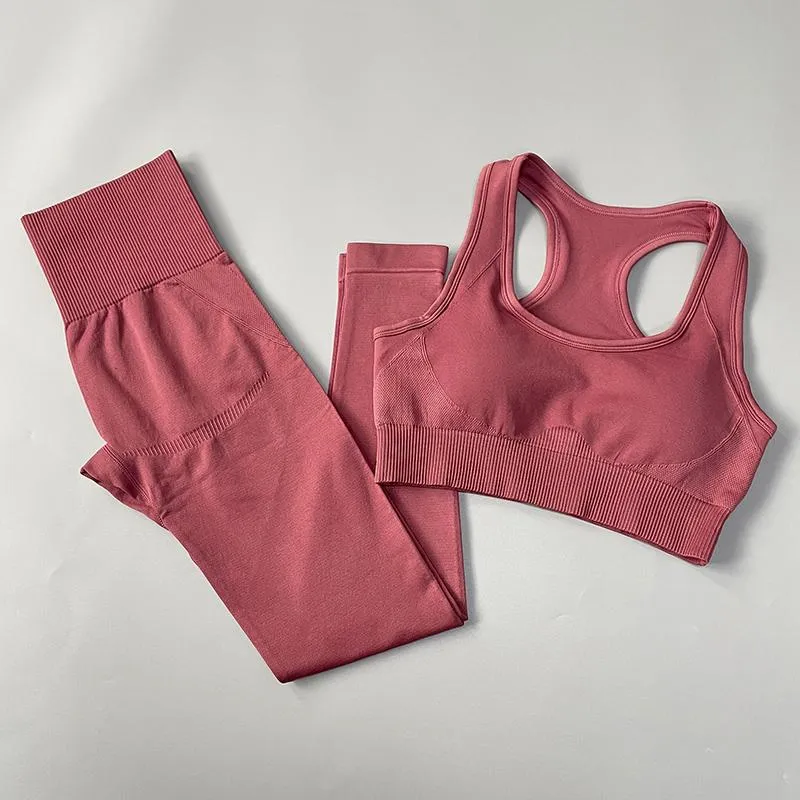 Seamless High Waist Fitness Sportswear Set