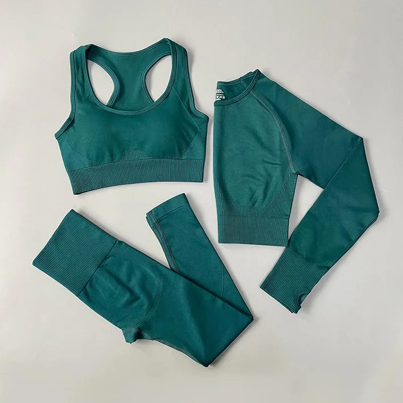 Seamless High Waist Fitness Sportswear Set