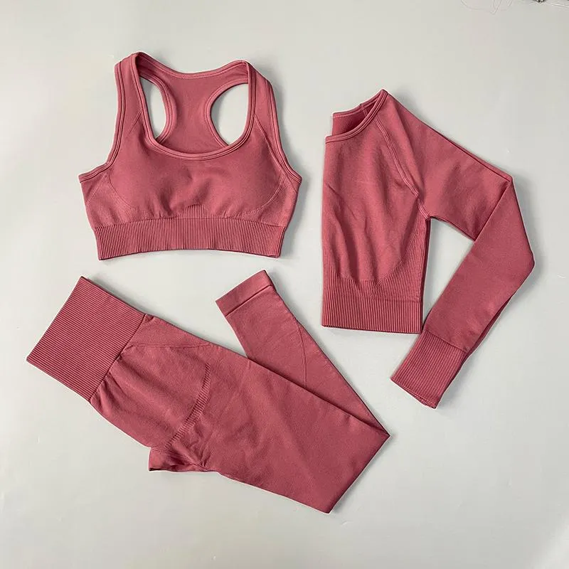 Seamless High Waist Fitness Sportswear Set